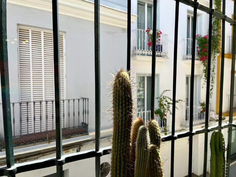 Apartamento Suite Alameda De Hercules Sevilla Bagian luar foto